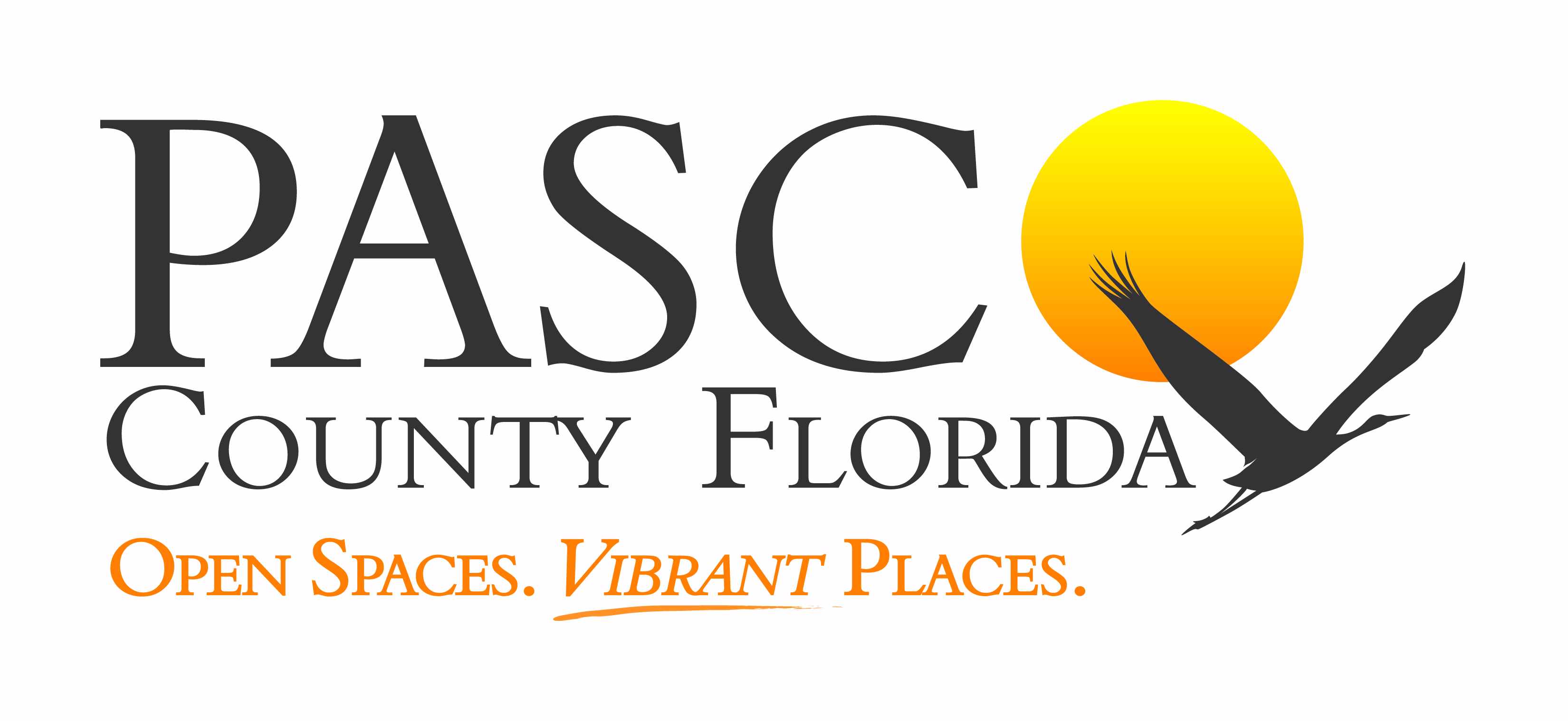 Pasco County Portal Team